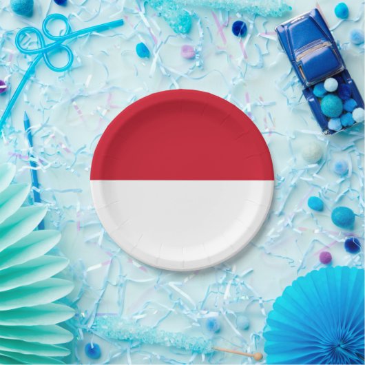 Indonesische (Indonesische) vlag Papieren Bordje (Feest)