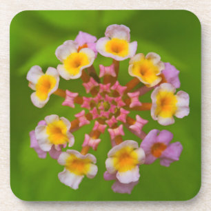 Indonesische Onderzetters met vuurvaste kunststof 