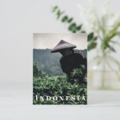 Indonesische Tea-vakarbeider, briefkaart (Staand voorkant)