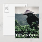 Indonesische Tea-vakarbeider, briefkaart (Voorkant / Achterkant)
