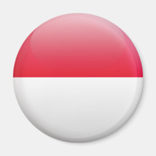 Indonesische vlag magneet