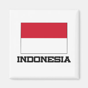 Indonesische vlag magneet
