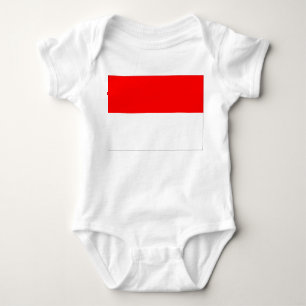 Indonesische vlag romper