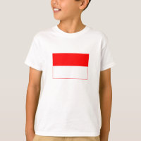 Indonesische vlag