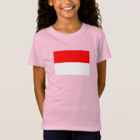 Indonesische vlag