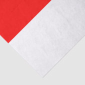 Indonesische vlag tissuepapier (Detail)