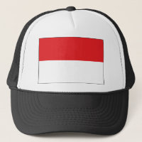 Indonesische vlag