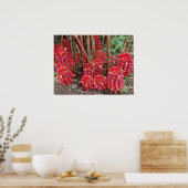 Indonesische wasvinger poster (Keuken)