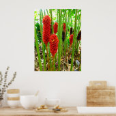 Indonesische wasvinger poster (Keuken)