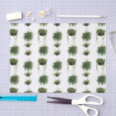 Indoor Oasis | Hangende manden Tissuepapier (Craft)