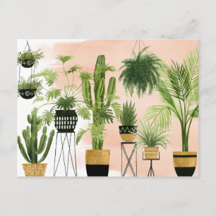 Indoor Oasis  Plant Lineup Briefkaart