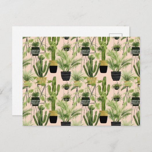 Indoor Oasis | Plant Lineup Patroon Briefkaart (Voorkant / Achterkant)