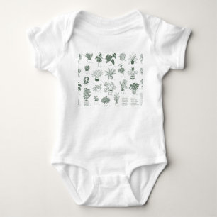 Indoor planten: handgetekende set. romper