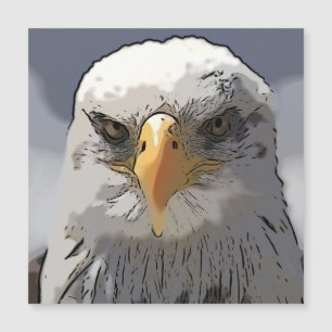 Indrukwekkend dier - Eagle
