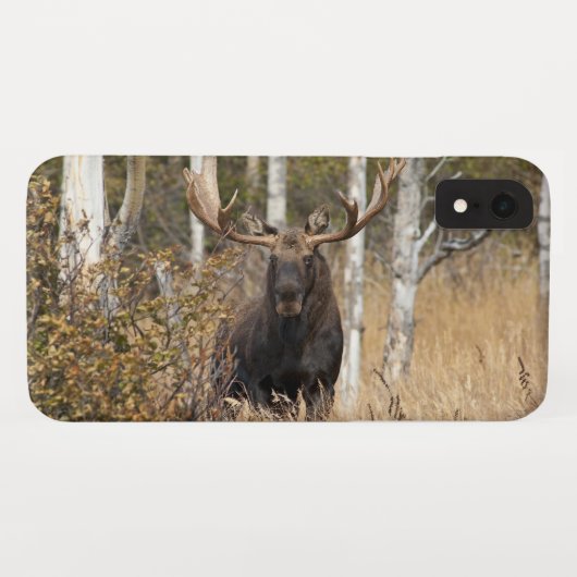 Indrukwekkende Bull Moose Case-Mate iPhone Case (Achterkant (horizontaal))