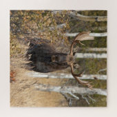 Indrukwekkende Bull Moose Legpuzzel (Horizontaal)