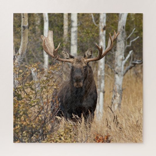 Indrukwekkende Bull Moose Legpuzzel (Verticaal)