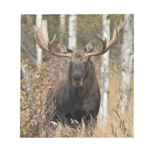 Indrukwekkende Bull Moose Notitieblok