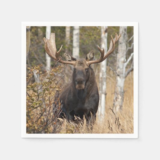 Indrukwekkende Bull Moose Servet (Voorkant)