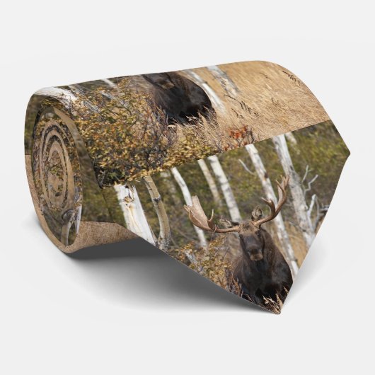 Indrukwekkende Bull Moose Stropdas (Opgerold)