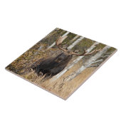 Indrukwekkende Bull Moose Tegeltje (Zijkant)