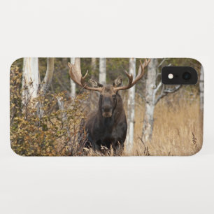 Indrukwekkende Eland iPhone XR Hoesje