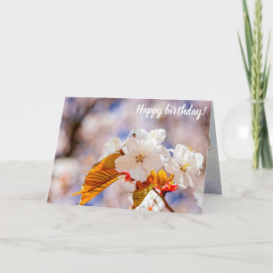 indrukwekkende Sakura-bloemen op een zonnige dag v Kaart