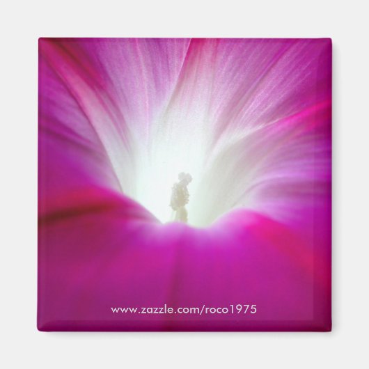 Infini (helderder) magneet (Voorkant)