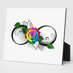 Infiniteitssymbool met regenboogRoos Fotoplaat