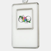 Infiniteitssymbool met regenboogRoos Verzilverd Kader Ornament (Links)