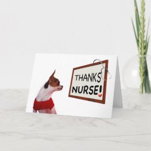 Infirmière Merci Chihuahua Chien