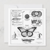 Informatie over monoarch-vlinder kaart (Voorkant)