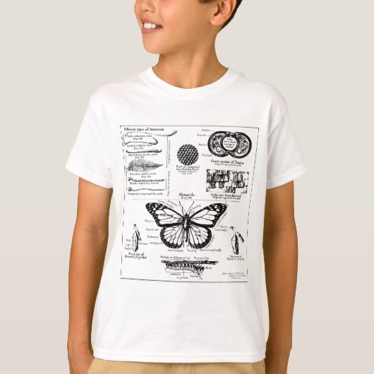 Informatie over monoarch-vlinder t-shirt (Voorkant)