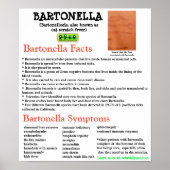 Informatieblad Bartonella Poster (Voorkant)