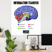 Informatieoverdracht binnen (hersenanatomie) poster (Thuiskantoor)