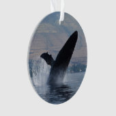 infraction de baleine de bosse (devant)