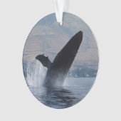 infraction de baleine de bosse (devant)