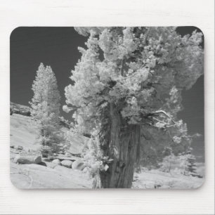 Infrarood foto aan de oostkant van Yosemite Nation Muismat