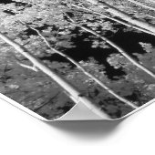 Infrarood Poplar Tree Forest Poster (Hoek)