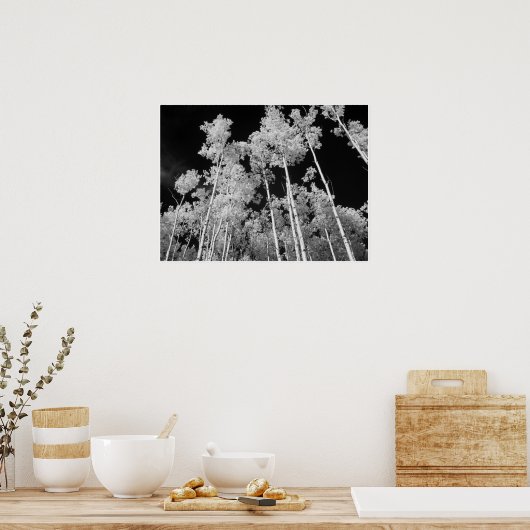 Infrarood Poplar Tree Forest Poster (Keuken)