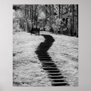 Infrarood van bomen in gebouwen en trails in Las Poster