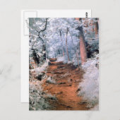 Infraroodbospad Briefkaart (Voorkant / Achterkant)