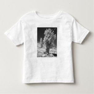 Infraroodfoto in het oosten van Yosemite National Kinder Shirts