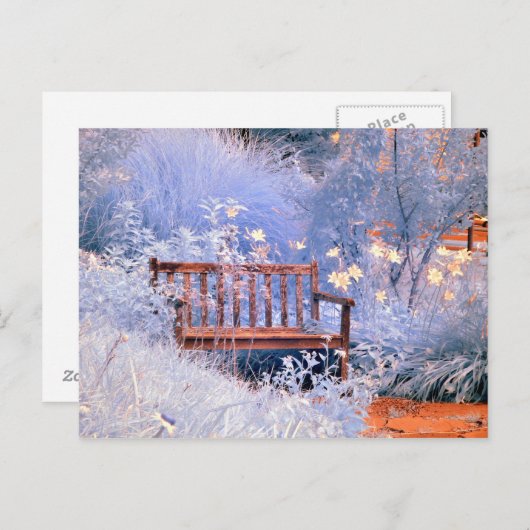 Infraroodparkbank Briefkaart (Voorkant / Achterkant)