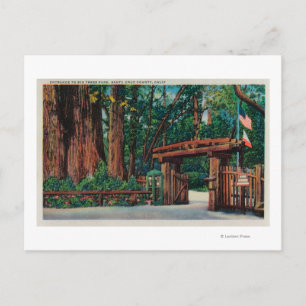 Ingang naar Big Trees Park, Santa Cruz County Briefkaart