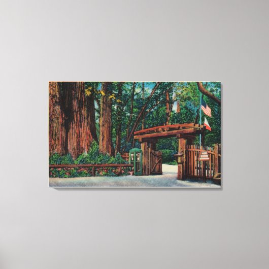 Ingang naar Big Trees Park, Santa Cruz County Canvas Afdruk (Voorkant)
