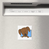 Ingelijste Cartoon Plott Hound Magnet Magneet (Insitu (Vaatwasser))