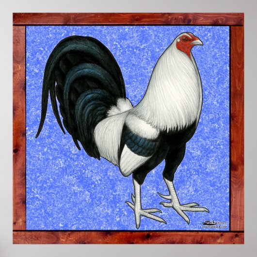 Ingelijste Gamecock Poster (Voorkant)