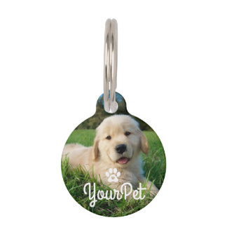 Ingelijste Pet Photo Paw Heart ID Label Huisdierpenning
