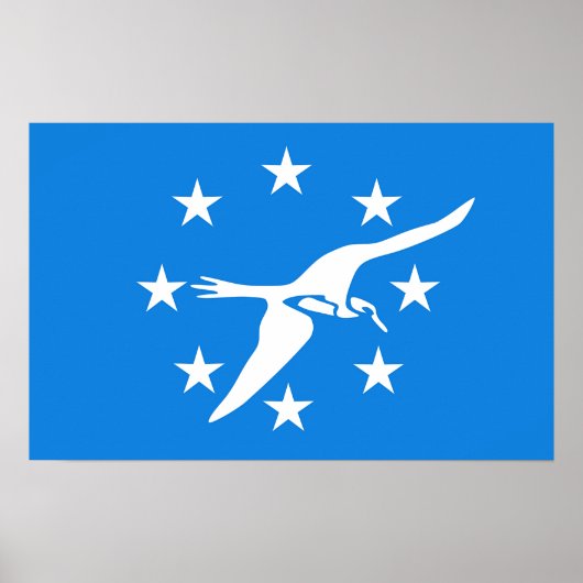 Ingelijste print met vlag van Corpus Christi, U.S. (Voorkant)